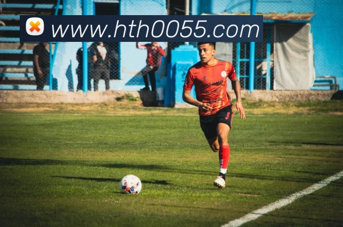 华体会平台生态图